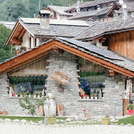 Boton D'or * Rhemes-Saint-Georges