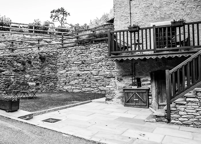 Boton D'or * Rhemes-Saint-Georges