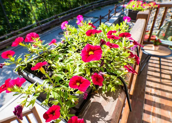 Boton D'or * Rhemes-Saint-Georges