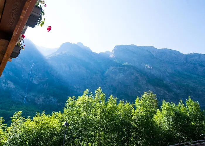 Boton D'or Rhemes-Saint-Georges